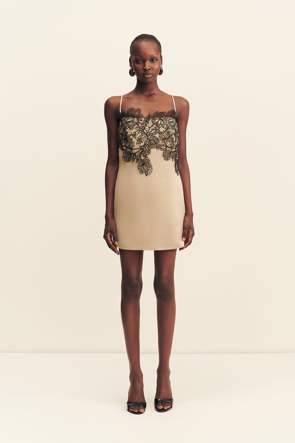 LUCIA LACE MINI DRESS - CHAMPAGNE/BLACK_F