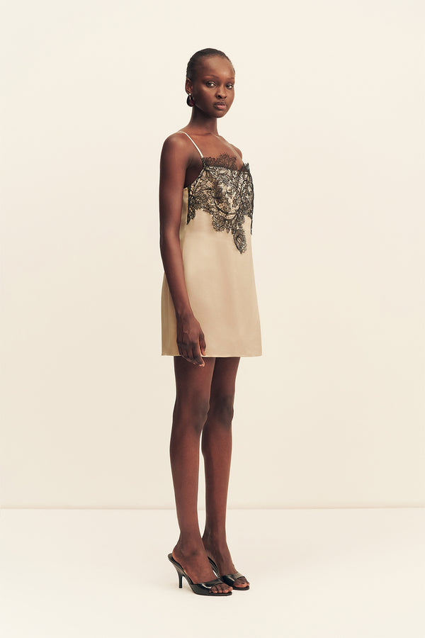 LUCIA LACE MINI DRESS - CHAMPAGNE/BLACK