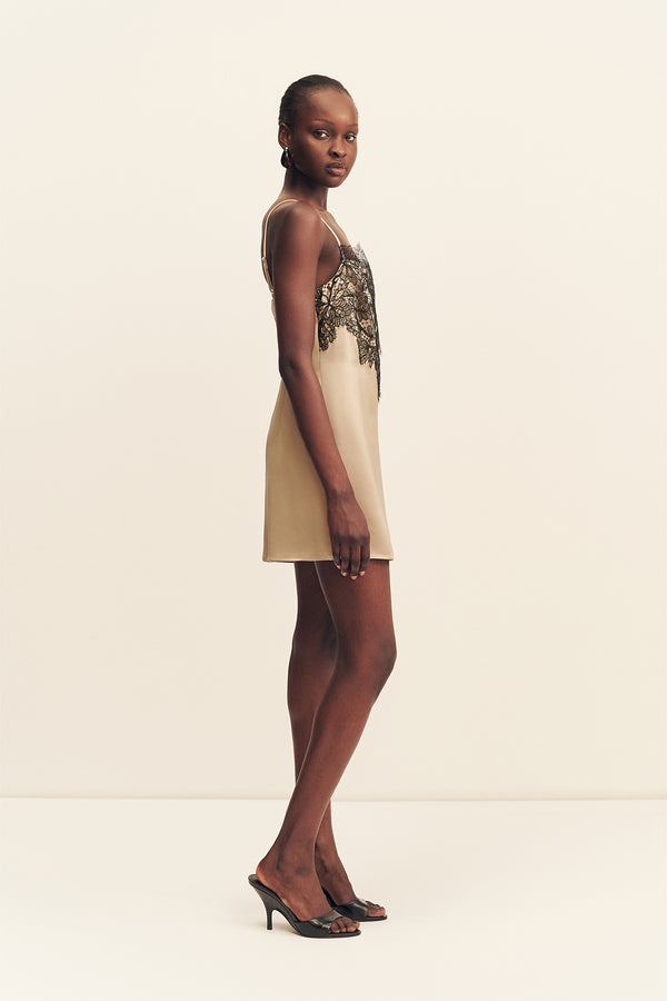 LUCIA LACE MINI DRESS - CHAMPAGNE/BLACK