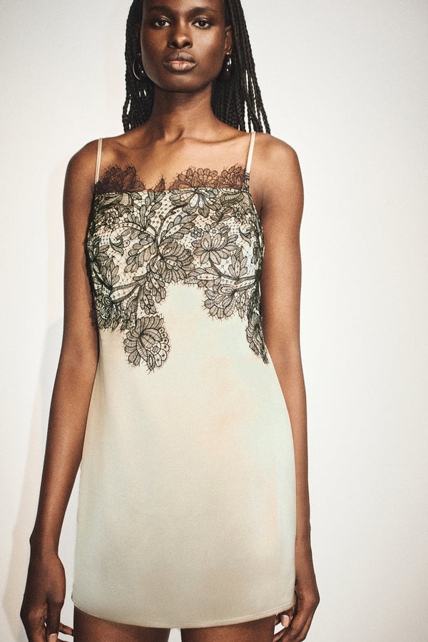 LUCIA LACE MINI DRESS - CHAMPAGNE/BLACK