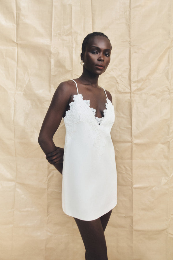 Shona Joy Toile Lace Mini Dress in Ivory - size Aus 8/US 4 Shona Joy Toile Lace Mini Dress in Ivory - size Aus 8/US 4