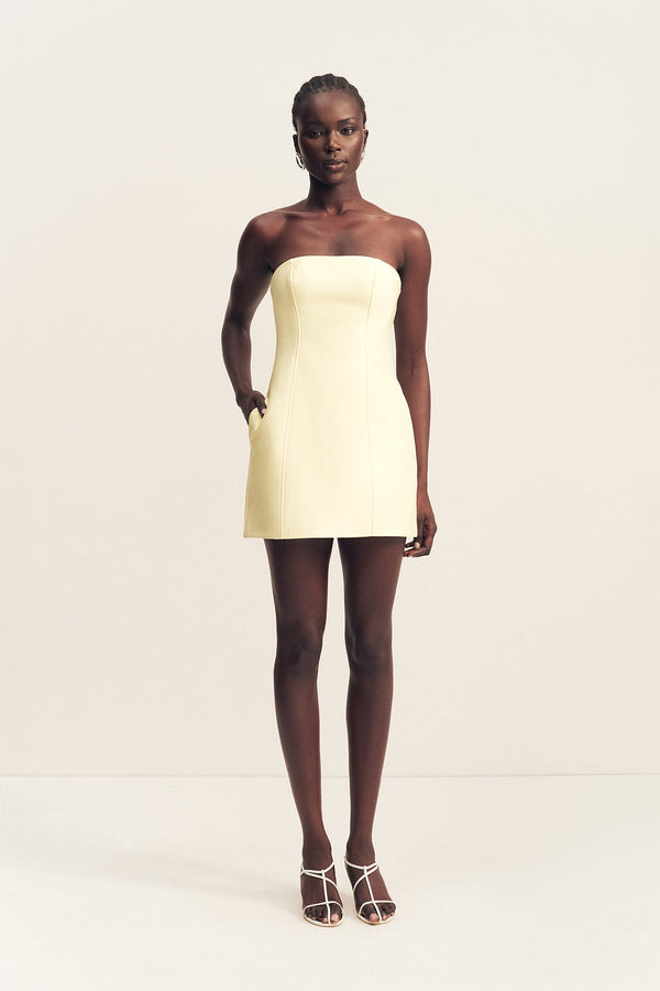 Shona Joy Otis Panelled Strapless Mini Dress in Lemon