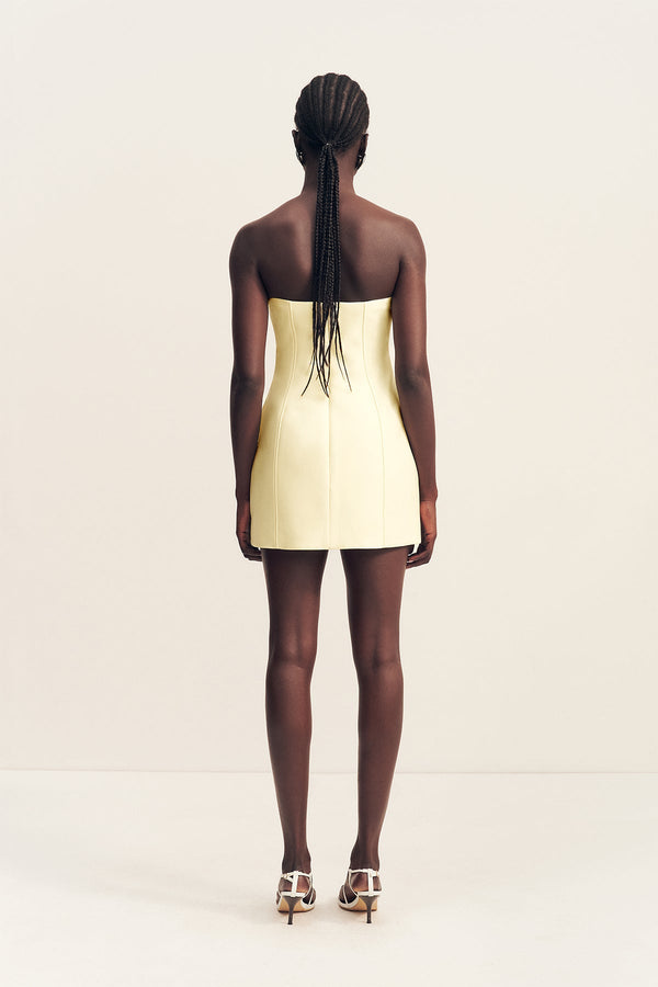 OTIS PANELLED STRAPLESS MINI DRESS - YUZU