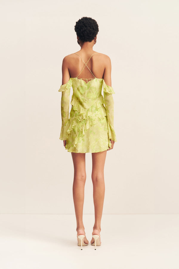 MILLER LONG SLEEVE RUFFLE MINI DRESS_B