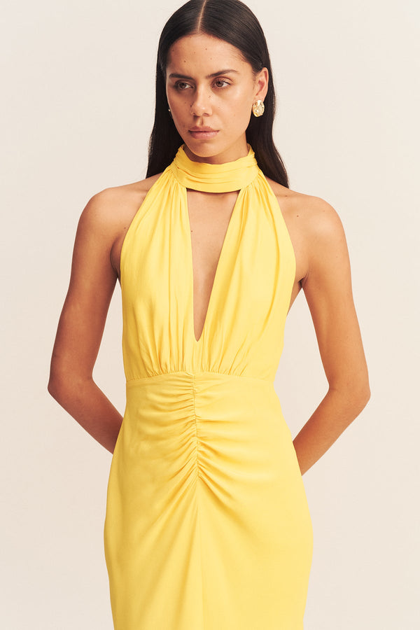 PIERCE HALTER NECK MAXI DRESS - SUNFLOWER_D