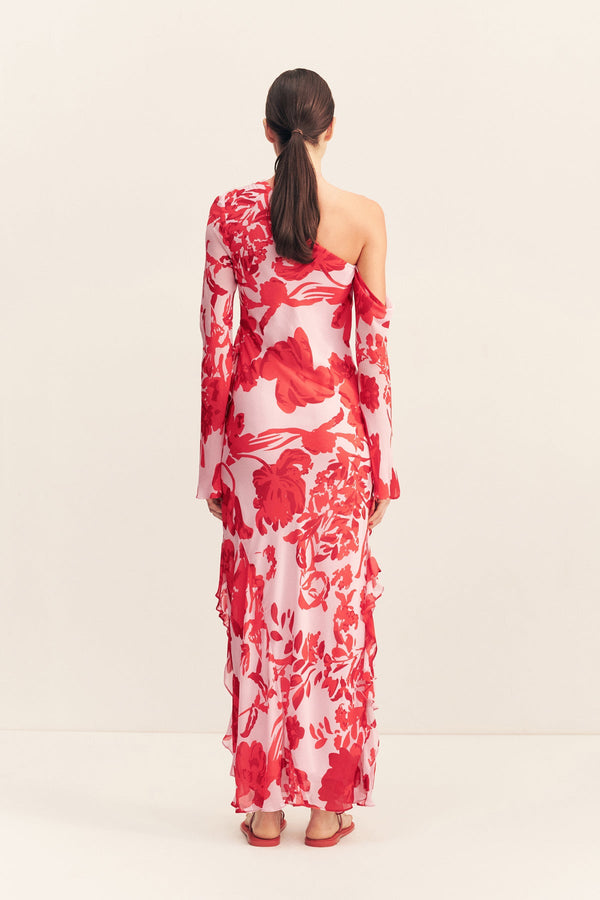 ALEYNA LONG SLEEVE RUFFLE MAXI DRESS